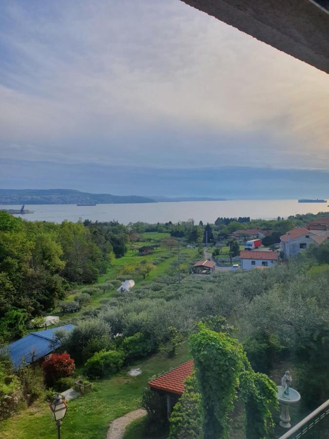 Apartma Aleksandra 안카란 외부 사진